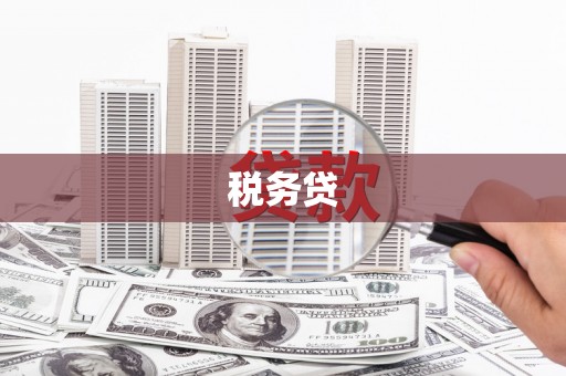 荆门税务贷