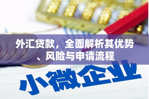 荆门外汇贷款，全面解析其优势、风险与申请流程