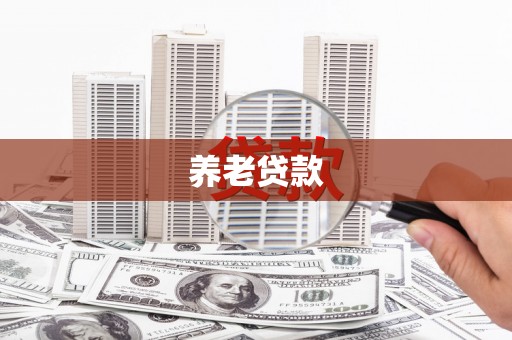 荆门养老贷款