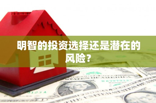 荆门明智的投资选择还是潜在的风险？