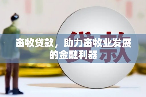 荆门畜牧贷款，助力畜牧业发展的金融利器