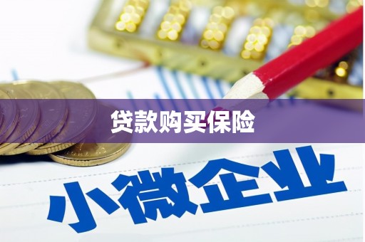 荆门贷款购买保险