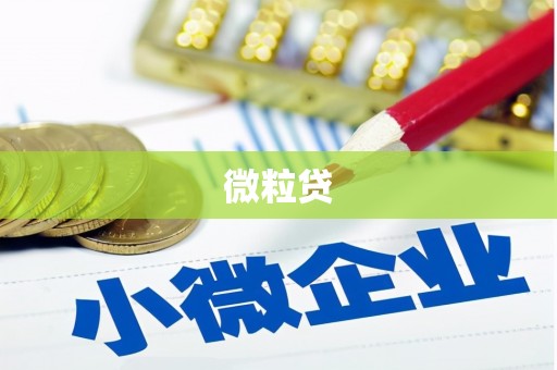 荆门微粒贷
