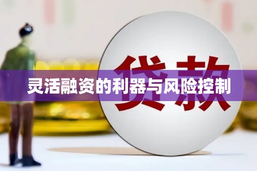 荆门灵活融资的利器与风险控制