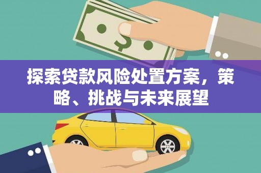 荆门探索贷款风险处置方案，策略、挑战与未来展望