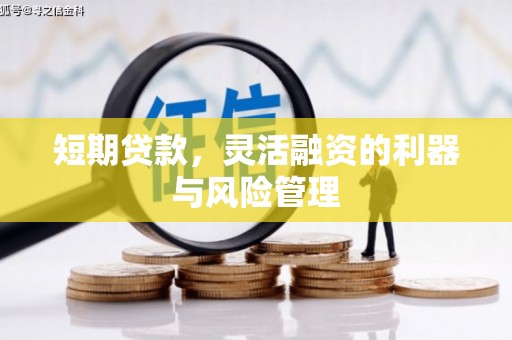 荆门短期贷款，灵活融资的利器与风险管理