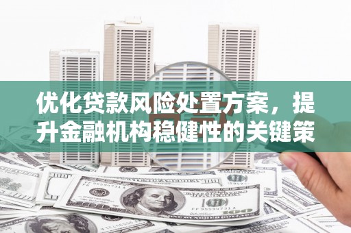 荆门优化贷款风险处置方案，提升金融机构稳健性的关键策略
