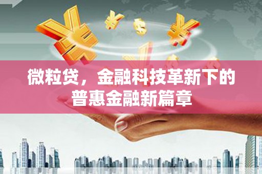 荆门微粒贷，金融科技革新下的普惠金融新篇章