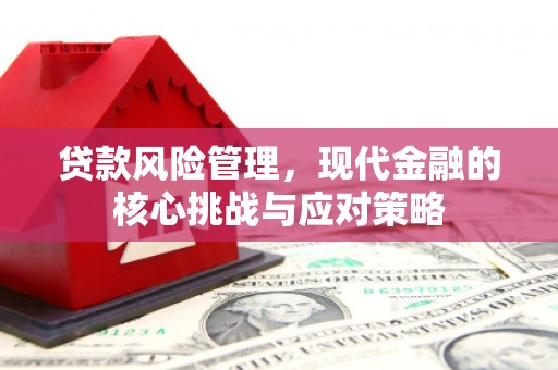 荆门贷款风险管理，现代金融的核心挑战与应对策略
