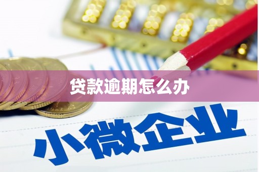 荆门贷款逾期怎么办