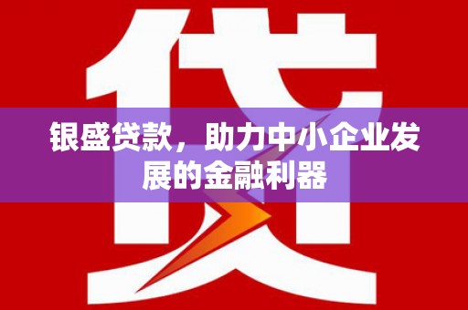 荆门银盛贷款，助力中小企业发展的金融利器