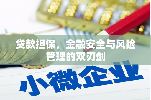 荆门贷款担保，金融安全与风险管理的双刃剑