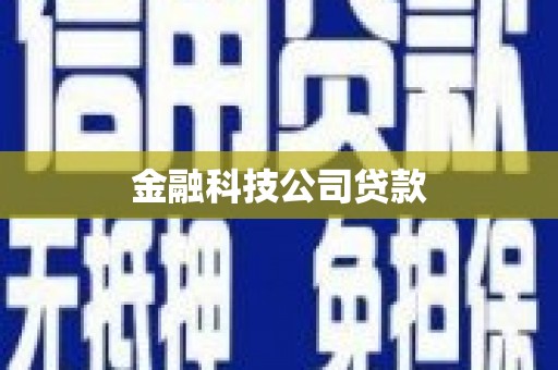 荆门金融科技公司贷款