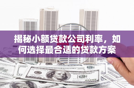 荆门揭秘小额贷款公司利率，如何选择最合适的贷款方案