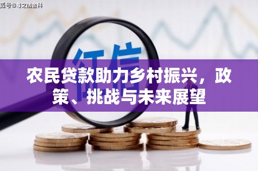 荆门农民贷款助力乡村振兴，政策、挑战与未来展望