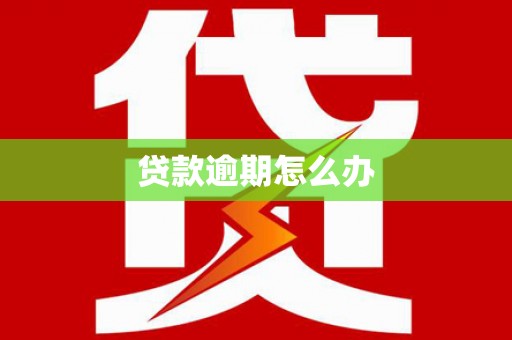 荆门贷款逾期怎么办