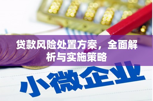 荆门贷款风险处置方案，全面解析与实施策略